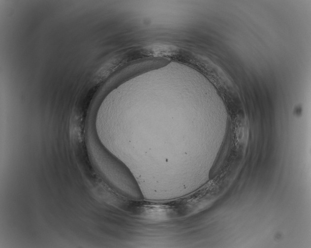 X0000116840316201001151252