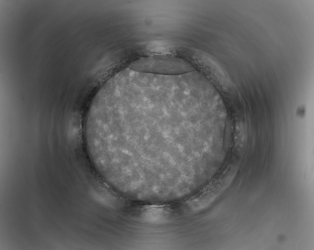 X0000116840320201001151252