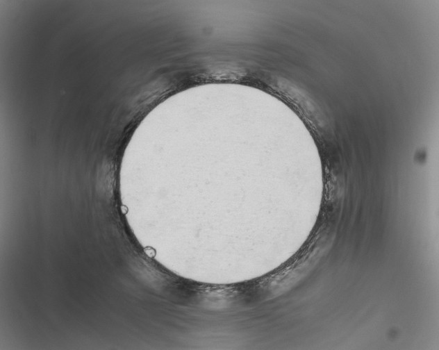 X0000116840321201001151252