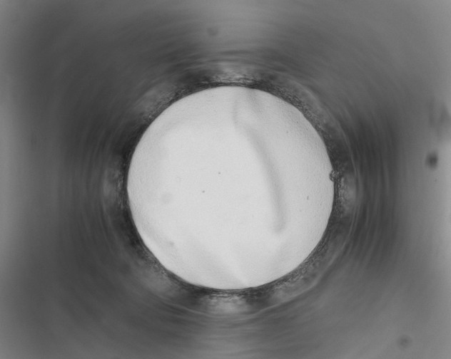 X0000116840322201001151252