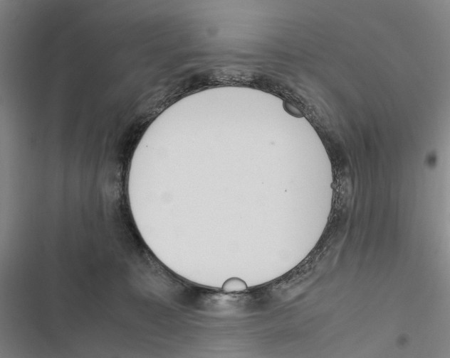X0000116840323201001151252
