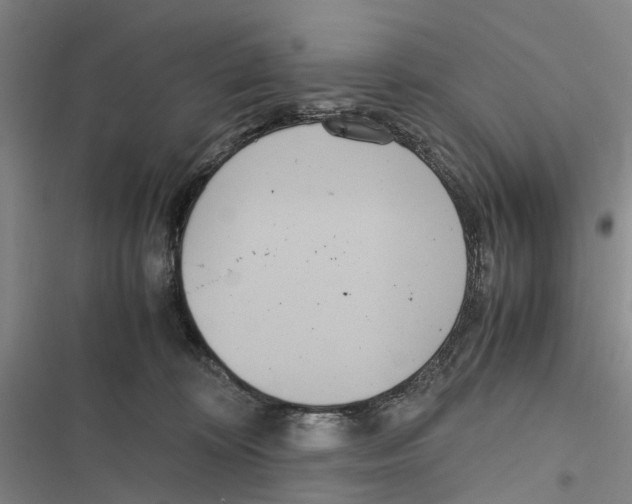 X0000116840324201001151252