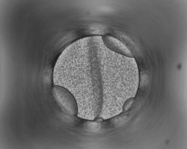 X0000116840325201001151252