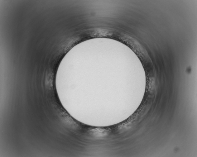 X0000116840326201001151252