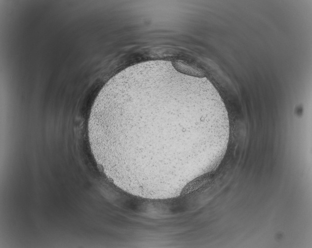 X0000116840327201001151252