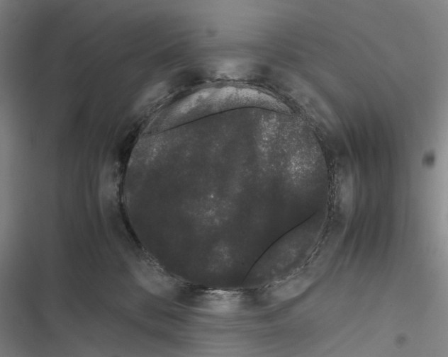 X0000116840328201001151252