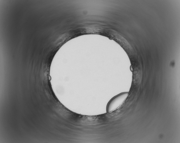 X0000116840329201001151252