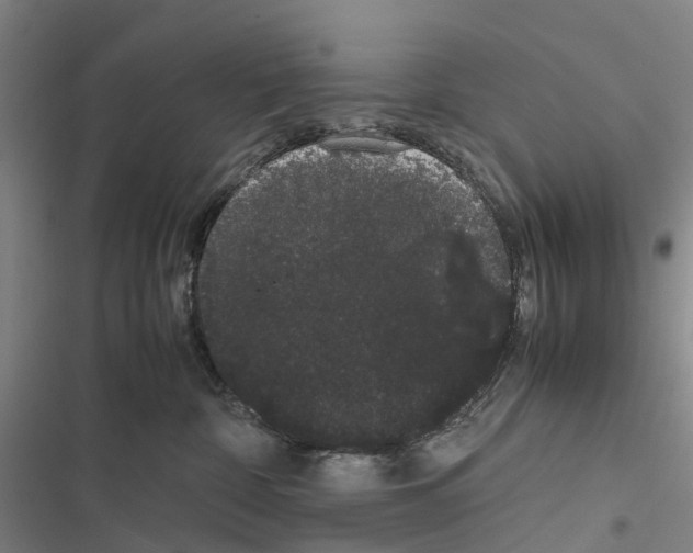 X0000116840332201001151252