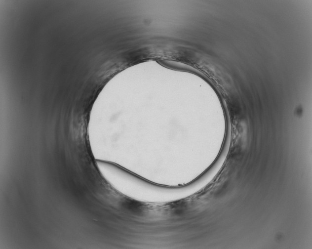 X0000116840333201001151252