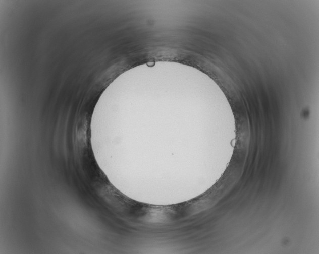 X0000116840334201001151252