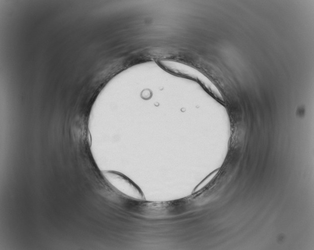 X0000116840335201001151252