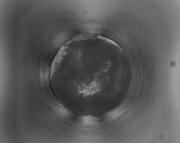X0000116840336201001151252