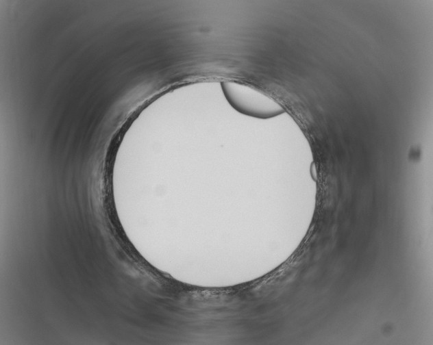 X0000116840338201001151252