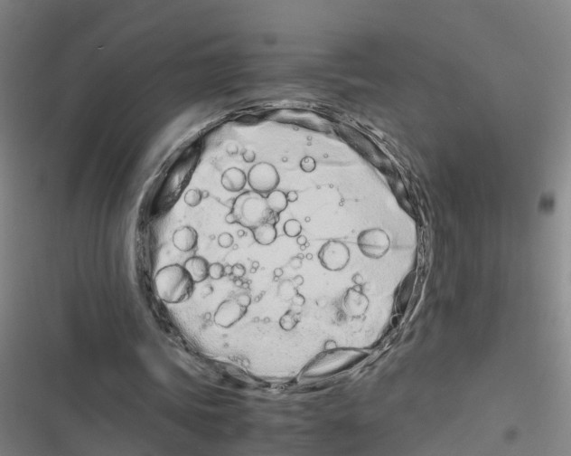 X0000116840339201001151252