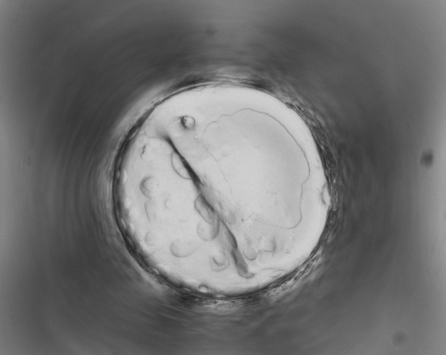 X0000116840341201001151252