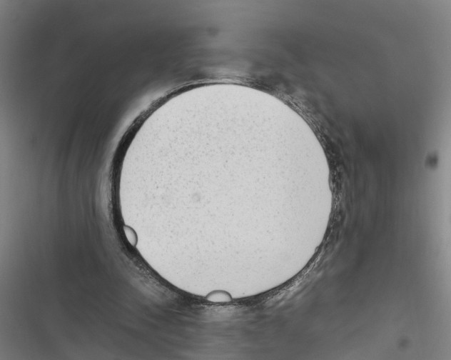X0000116840342201001151252
