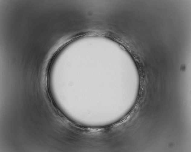 X0000116840343201001151252
