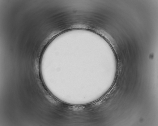 X0000116840345201001151252