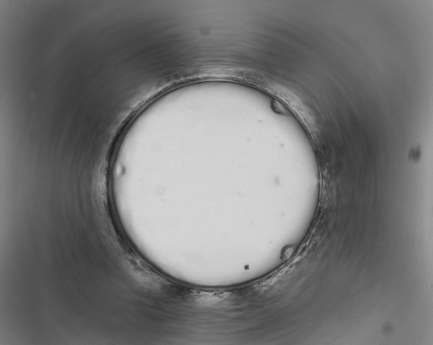 X0000116840346201001151252