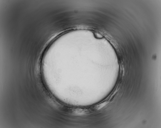 X0000116840347201001151252