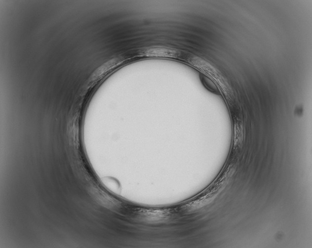 X0000116840349201001151252