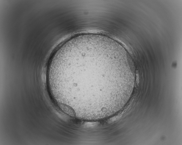 X0000116840350201001151252