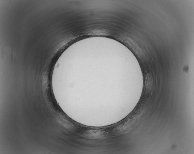 X0000116840351201001151252