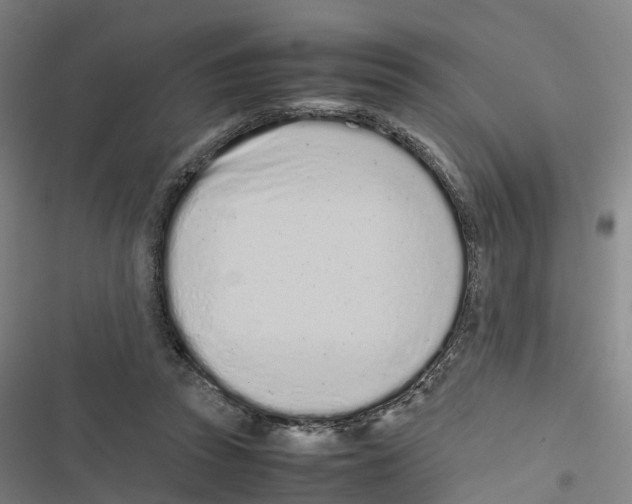 X0000116840353201001151252