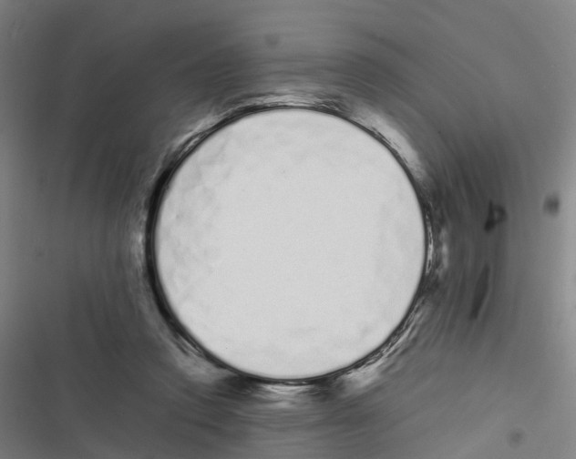 X0000116840354201001151252