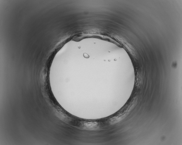 X0000116840355201001151252