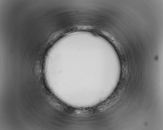 X0000116840357201001151252