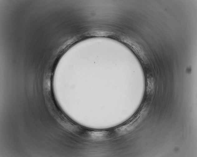 X0000116840358201001151252