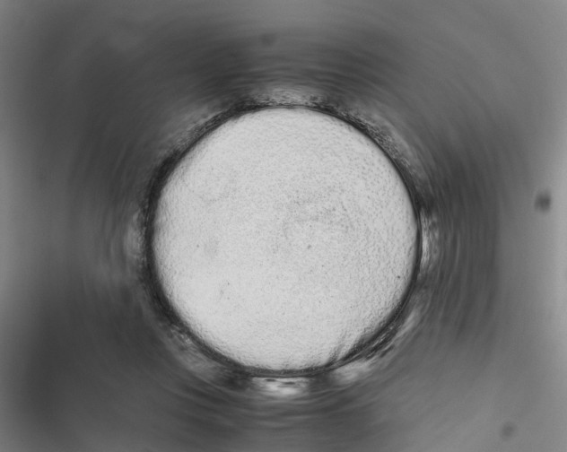 X0000116840359201001151252