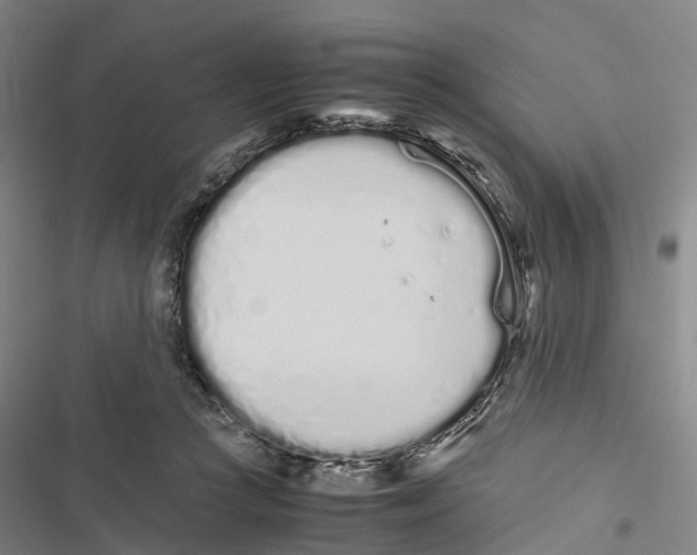 X0000116840361201001151252