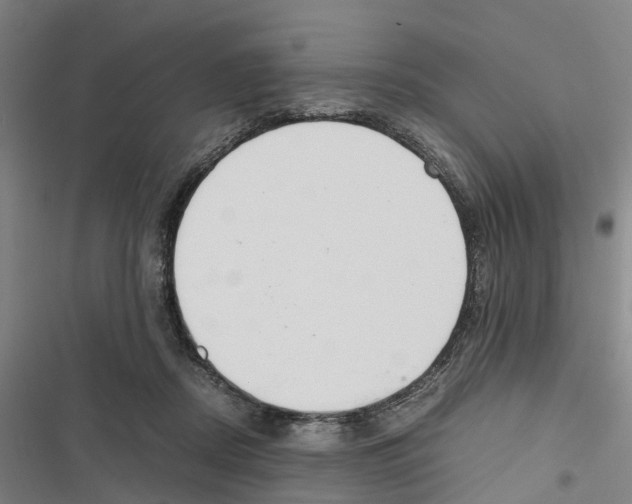 X0000116840362201001151252