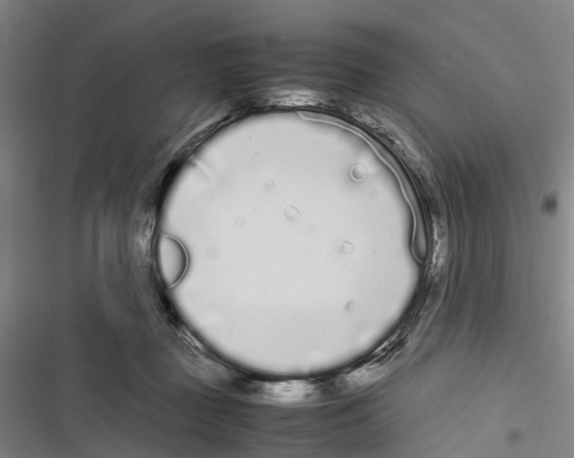 X0000116840363201001151252