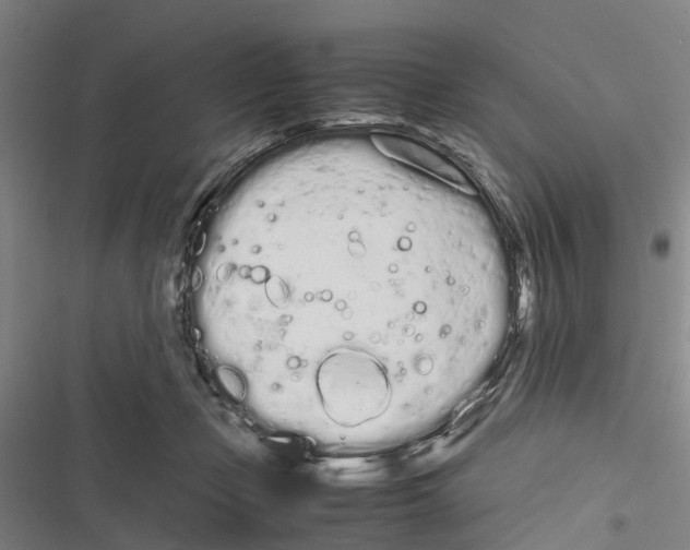 X0000116840365201001151252