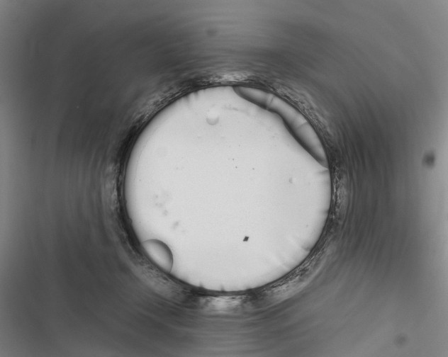 X0000116840366201001151252