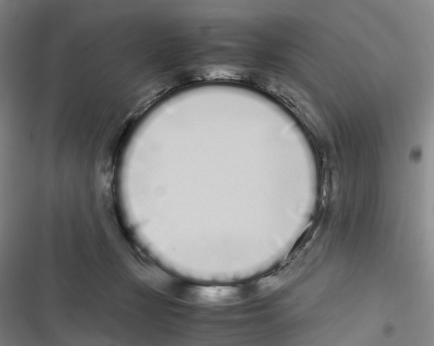 X0000116840367201001151252
