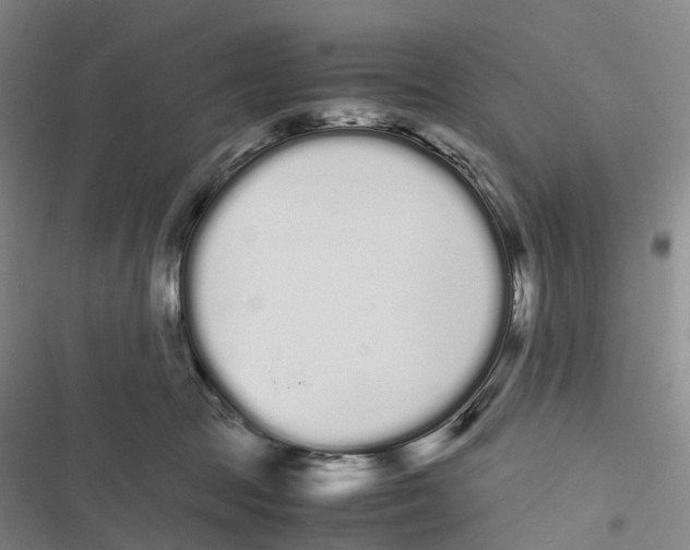 X0000116840369201001151252