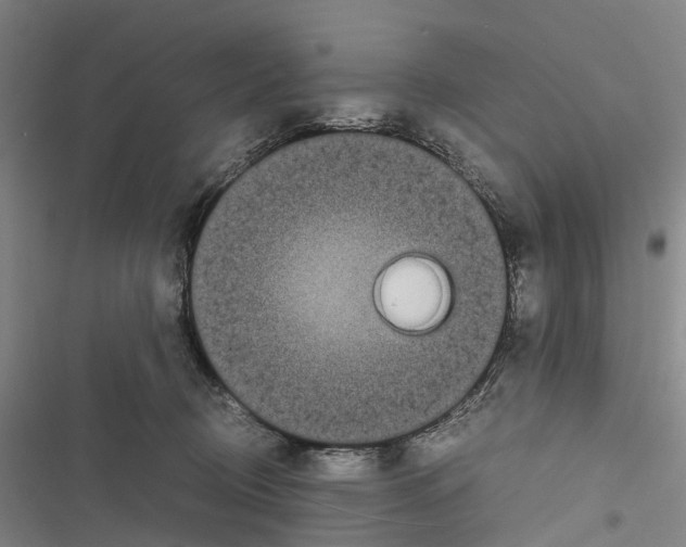 X0000116840370201001151252