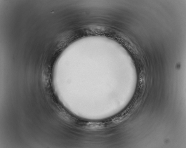 X0000116840371201001151252