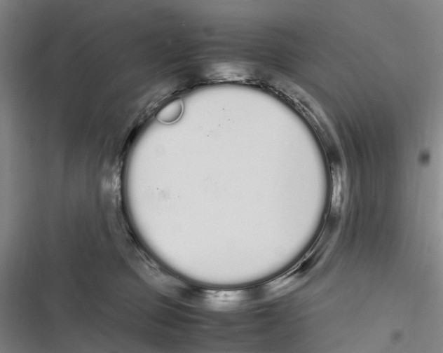 X0000116840373201001151252