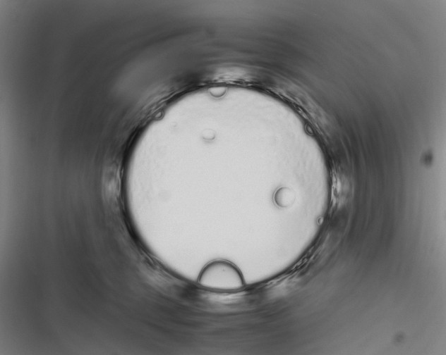 X0000116840375201001151252