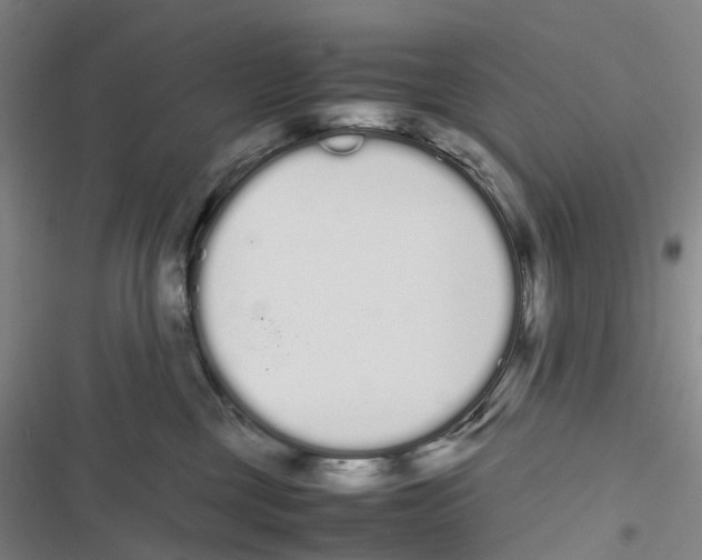X0000116840377201001151252