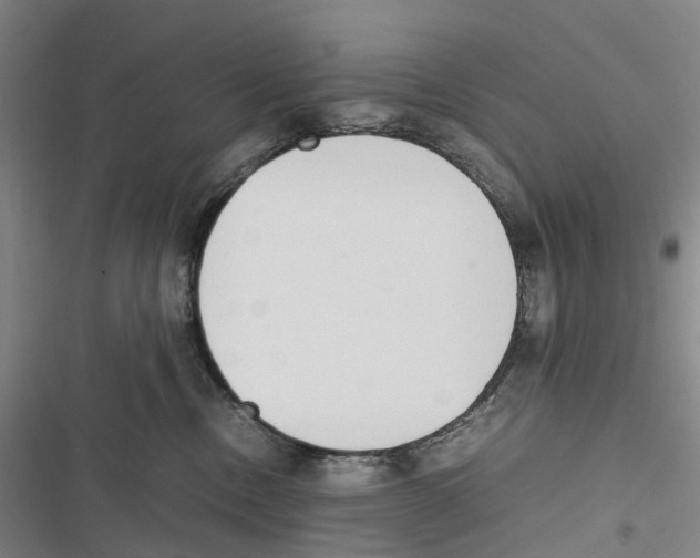 X0000116840378201001151252