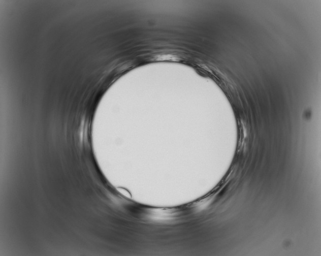 X0000116840379201001151252