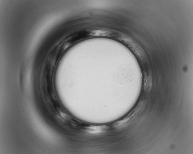 X0000116840381201001151252