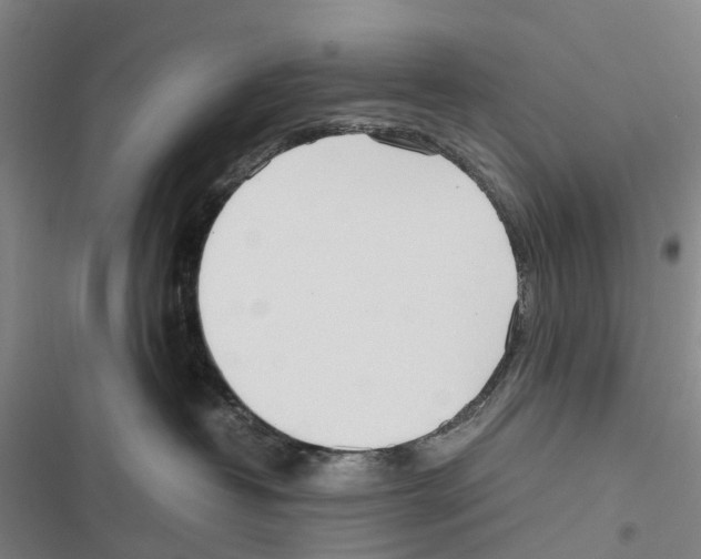X0000116840382201001151252