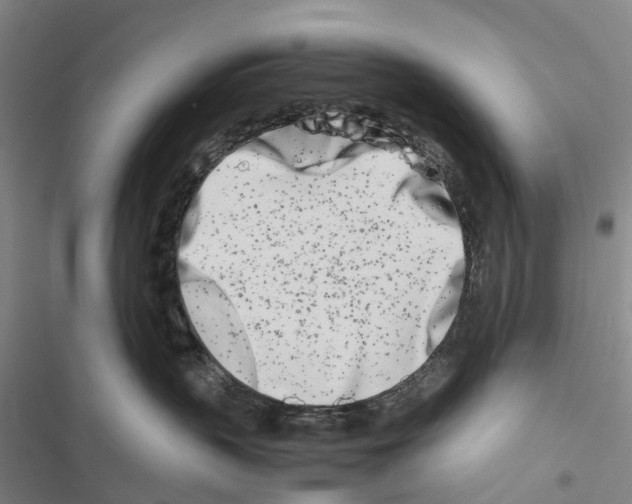 X0000116840383201001151252